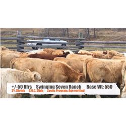 Swinging Seven Ranch - Longview, AB  +/- Heifers