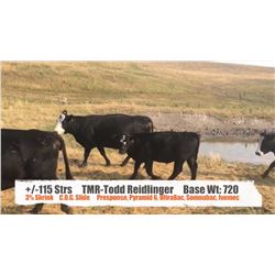 TMR Ranch (T. Reidlinger) - Longview, AB  +/- Steers