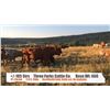 Image 1 : Threeforks Cattle Co. - Longview, AB  +/- Steers