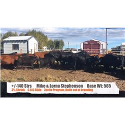 Mike & Lorna Stephenson - High River, AB  +/- Steers