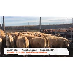 Cam Longson - Kathryn, AB   +/- Heifers