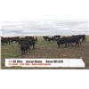 Image 1 : Jesse Heinz-Blackie, AB  +/- Heifers