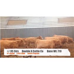 Double X Cattle Company-Milo, AB  +/- Steers