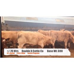 Double X Cattle Company-Milo, AB  +/- Heifers