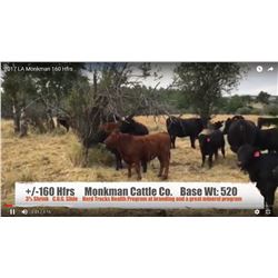 Monkman Cattle Co.-Nanton, AB  +/- Heifers