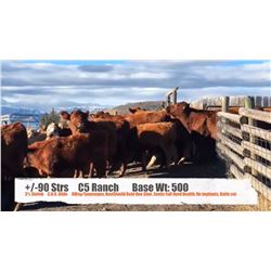 C5 Ranch - Nanton, AB  +/- Steers