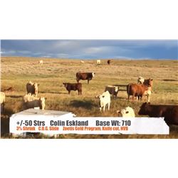 Colin Eskland-Stavely, AB  +/- Steers