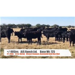 AJS Ranch Ltd.-Big Valley, AB  +/- Steers