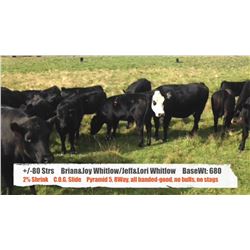 Brian&Joy and Jeff&Lori Whitlow-Water Valley, AB  +/- Steers