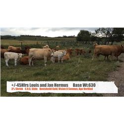 Louis & Jan Hermus-Big Valley, AB  +/- Heifers