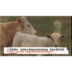 Kelly & Robyn Armstrong-Big Valley, AB  +/- Heifers