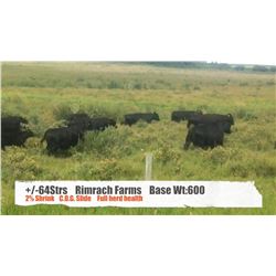 Rimrach Farms-Madden, AB  +/- Steers