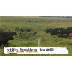 Rimrach Farms-Madden, AB  +/- Heifers