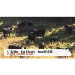 Bar E Ranch-Cochrane, AB  +/- Heifers