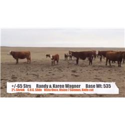 Randy & Karen Wagner-Consul, SK  +/- Steers
