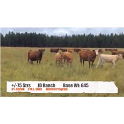 JD Ranch-Fort Steele BC.  +/- Steers
