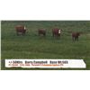 Image 1 : Barry Campbell-Fort Macleod, AB  +/- Heifers