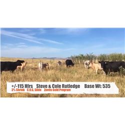 Steve & Cole Rutledge-Cowley, AB  +/- Heifers