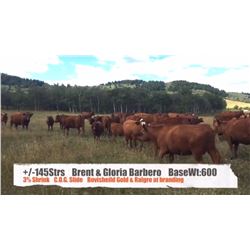 Brent & Gloria Barbero-Pincher Creek, AB  +/- Steers