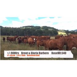 Brent & Gloria Barbero-Pincher Creek, AB  +/- Heifers