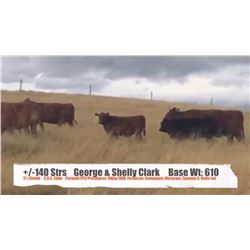 George & Shelly Clark - Pincher Creek, AB  +/- Steers