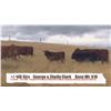 Image 1 : George & Shelly Clark - Pincher Creek, AB  +/- Steers