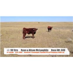 Ryan & Alison McLaughlin-Jenner, AB  +/- Steers