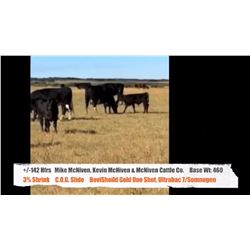 Kevin McNiven, Mike McNiven & McNiven Cattle Co.-Bigstone&Pollockville, AB  +/- Heifers