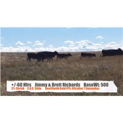 Jimmy & Brett Richards - Sunnynook, AB  +/- Heifers