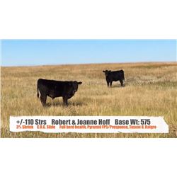 Robert & Joanne Hoff - Dorothy, AB   +/- Steers