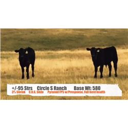 Circle S Ranch - Sunnynook, AB   +/- Steers