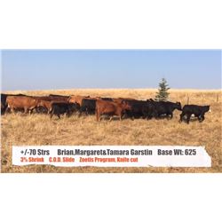 Brian, Margaret & Tamara Garstin-Longview, AB  +/- Steers