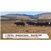 Image 1 : Bow Vista Farms - Longview, AB  +/- Steers