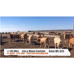 Len and Diane Carlson-Stavely, AB  +/- Heifers