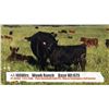 Image 1 : Wowk Ranch Ltd.-Vermillion , AB  +/- Heifers