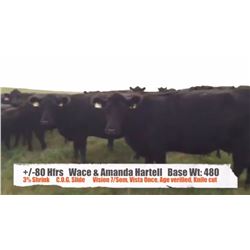 Wace & Amanda Hartell - Empress, AB  +/- Heifers