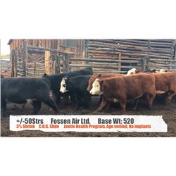 Fossen Air Ltd-Rock Creek, BC  +/- Steers