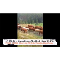 Glenn, Kevin & Chad Ball - Millarville, AB   +/- Steers