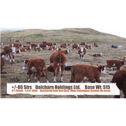 Dalcharn Holdings Ltd  +/- Steers
