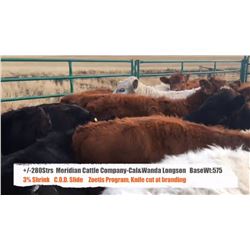 Meridian Cattle Company LTD-Cal & Wanda Longson-High River, AB  +/- Steers