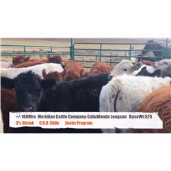 Meridian Cattle Company LTD-Cal & Wanda Longson-High River, AB  +/- Heifers