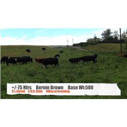 Bernie Brown - High River, AB  +/- Heifers