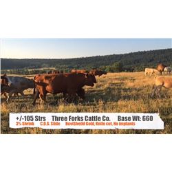 Threeforks Cattle Co. - Longview, AB  +/- Steers