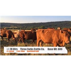 Threeforks Cattle Co. - Longview, AB  +/- Heifers