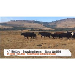 Bow Vista Farms - Longview, AB  +/- Steers
