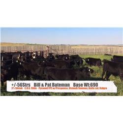 Bill & Pat Bateman-Cochrane, AB  +/- Steers