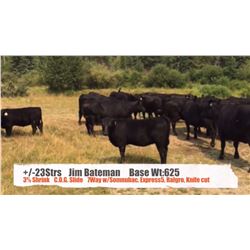 Jim Bateman-Cochrane, AB  +/- Steers
