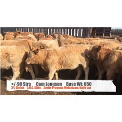 Cam Longson - Kathryn, AB   +/- Steers