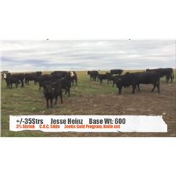 Jesse Heinz-Blackie, AB  +/- Steers