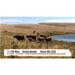 Kevin Booth-Milo, AB  +/- Heifers